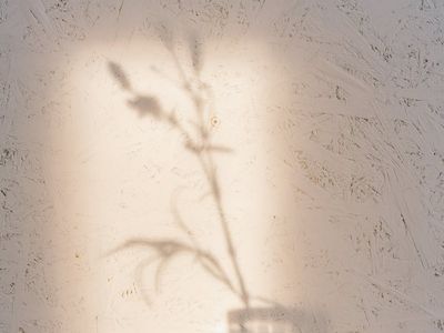 Minimalist interior with natural light for practice.